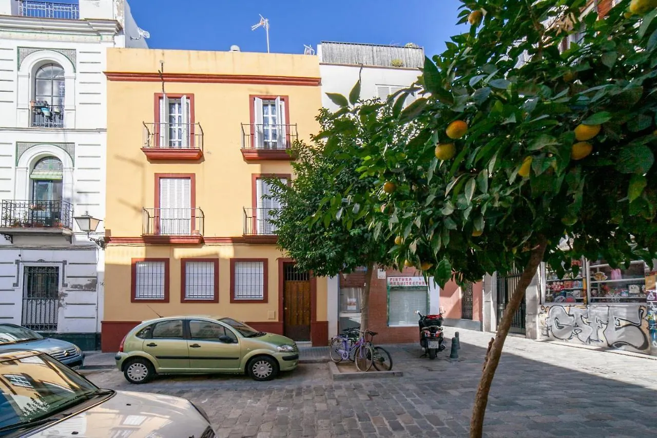 Alohamundi Cruz Verde Seville
